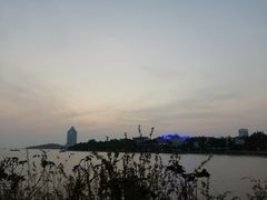-八大关景区
