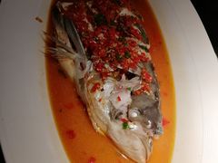 -凤凰湘语·湘粤和鸣(浦东旗舰店)