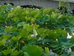 android_upload_pic-满都海公园