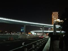 -演武大桥观景平台