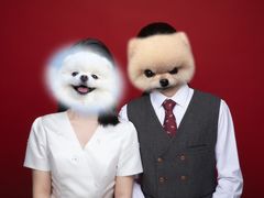 -bobo高端证件照工作室(三元桥店)