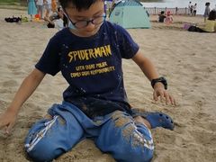 -九龙湖公园