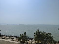 -深圳湾公园(南山区)
