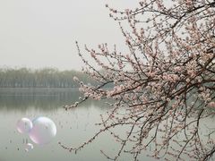 -颐和园