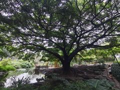 -晓港公园