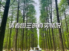 -渌洋湖湿地公园