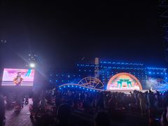 -武汉两江游览·夜游长江(汉口粤汉码头)