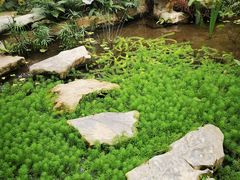 -南山植物园