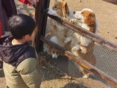 -长兴太湖图影湿地文化园