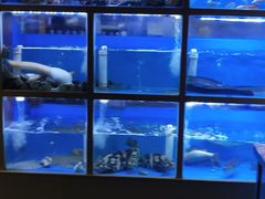 -泮金大塘(北二七路店)