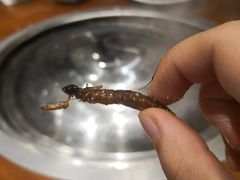 -铁锅炖灶台鱼老三炖鱼馆