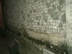 -小洲村