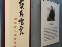 -南京书画院金陵美术馆