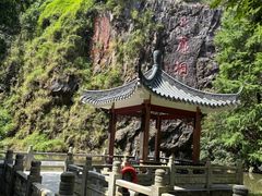 -水濂山森林公园