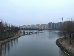 -南翔镇银翔湖公园