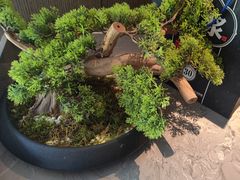 -百富源·海鲜辽菜(浑河堡店)