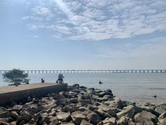 -宝安西湾红树林湿地公园