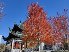 -东北农业大学