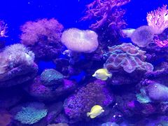 -青岛海底世界-水族馆