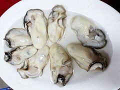 -花苑美食横琴生蚝火锅(拱北粤华路店)