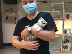 -lincat·猫舍(广州店)