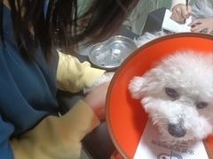 -乐派堂宠物医院·猫友好· 心脏科(东街店)