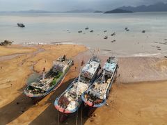 -北岐滩涂