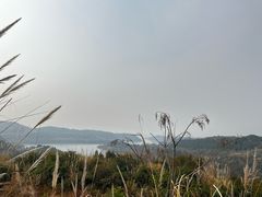 -仙海旅游度假区