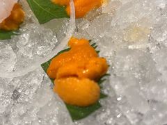 -月龍吟(朝龙汇店)