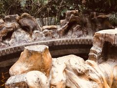 -龙达温泉生态城