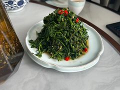 枸杞苗-三益轩(总店)