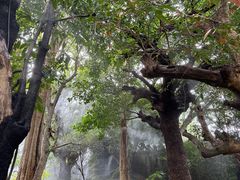 -Chom Cafe and Restaurant