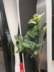 -Garden花園造型