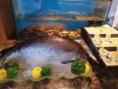 -西安高新希尔顿酒店·咖啡露台西餐厅