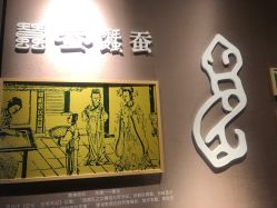 -太湖雪蚕桑文化园