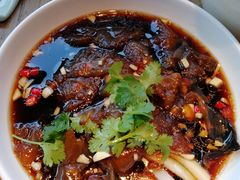 -老板恋上鱼(印象城店)