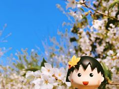 -黄兴公园