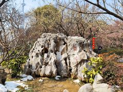 -南京古林公园