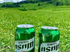 -新疆那拉提国家旅游度假区