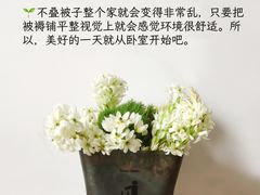 -福孕妈妈家政•月嫂育儿嫂保姆