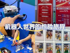 -睿趣疯狂机器人·乐高·编程·STEM(橡树湾中心)