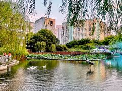 -苏州河梦清园环保主题公园