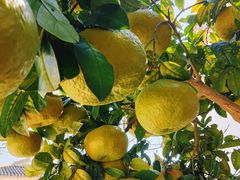 -梅州天地人花园酒店(梅县人民广场店)