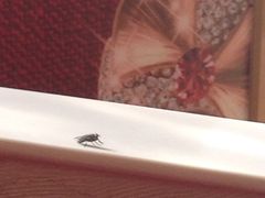 iphone_upload_pic-哈根达斯(泉州万达店)