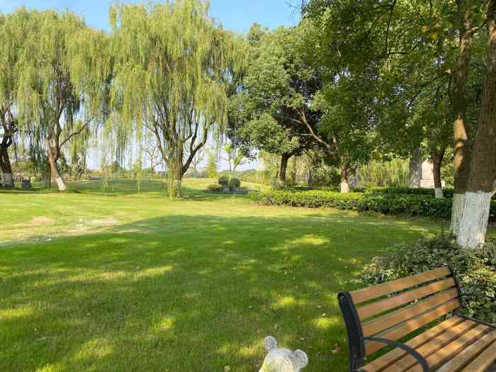 上海至尊园静园-"沐浴着六月的和煦阳光,我搀扶着母亲驾车来.