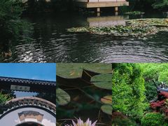 -虎跑公园