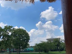 -上海佘山世茂艾美酒店