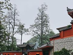 -黔灵山公园