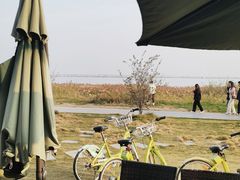 -七的湖·晚芳亭·阳澄湖农家菜·大闸蟹(莲花岛店)