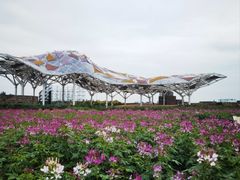 -江苏三台山国家森林公园